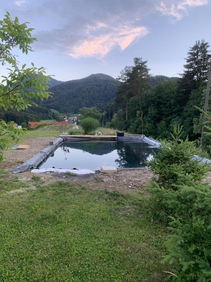 Hillside Bio Resort Apartment With Mountain View 皮瑞伯德 外观 照片